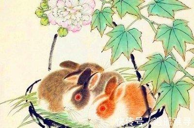 生肖兔男适合结婚的年龄 属兔男喜欢怎样的女