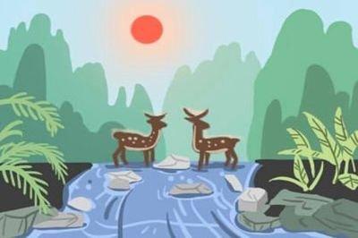 生肖鼠适合养什么动物 哪些动物更适合属鼠人