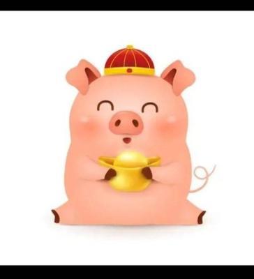 生肖猪适合养什么动物 哪些动物更适合属猪人