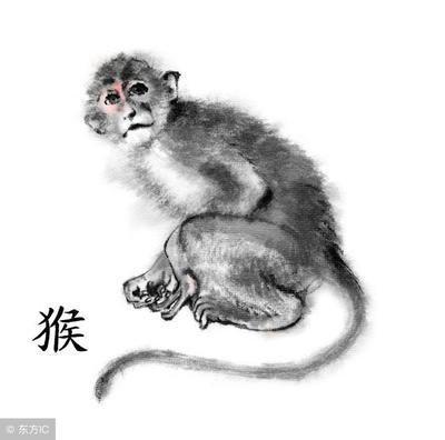 生肖猴一生总运势 分析属猴人的一生