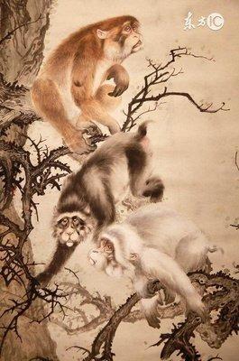 生肖猴人最倒霉的年龄 为什么会很倒霉
