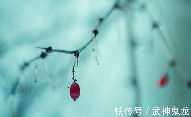 生肖猴在2025年是几岁 今年会有好运气吗