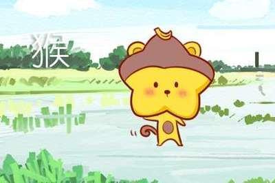 生肖女猴男鸡相配吗 配对关系怎么样