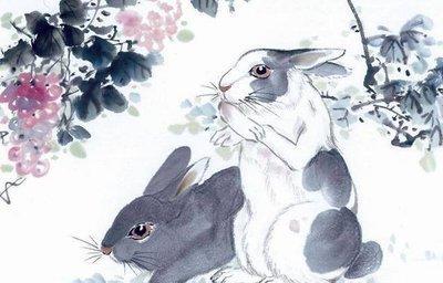 生肖属兔的女人增旺桃花运的方法有哪些
