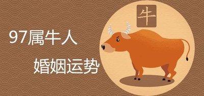 生肖属牛的人在明年做什么事情会比较顺