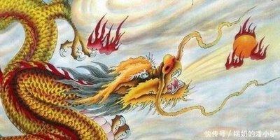 生肖龙跟什么和  属龙人人与人与那谁生哪些