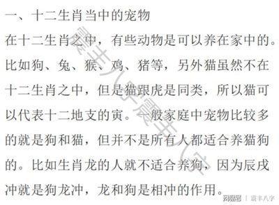 生肖龙适合养什么动物 哪些动物更适合属龙人