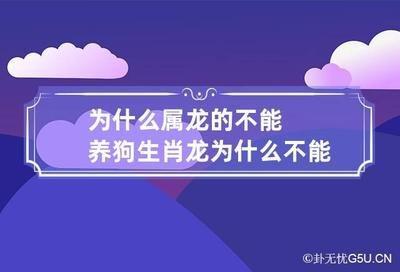 生肖龙适合养什么动物 哪些动物更适合属龙人