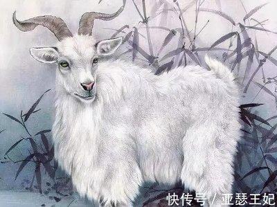 生肖羊2025年运势11月运势大全