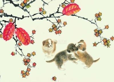 生肖属狗的人如何获得贵人运从出生月份来看