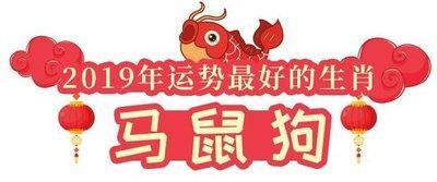 生肖属狗的人明年本命年里哪方面运势最好