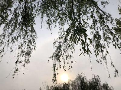 生肖属猪人的优点 蛇年生的人优点有什么