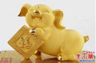 生肖属猪宜用名字 蛇年生的宝宝怎样起名