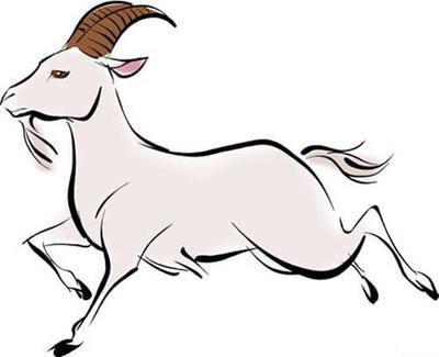 生肖羊最适合的工作 属羊人从事什么工作更好 生肖羊最适合的工作 属羊人从事什么工作更好