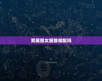 生肖属猴忌配虎、猪灾害多起属猴生肖忌配