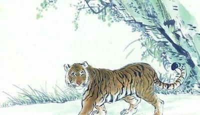 生肖虎和哪些生肖合 属虎人与哪几个生肖合作好