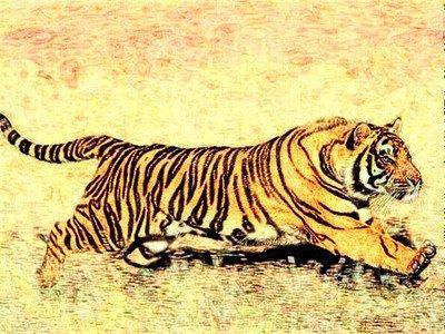 生肖属虎的本命年几时彻底结束,本命年需要注意什么 生肖属虎的本命年几时彻底结束,本命年需要注意什么