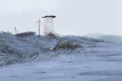 生肖属马的人明年最需要注意哪方面运势 生肖属马的人明年最需要注意哪方面运势