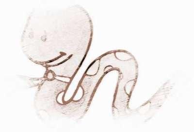 生肖蛇2025年情感运势 属蛇2025年的运势