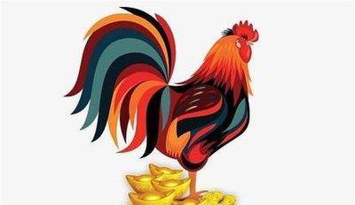 生肖属鸡人生有几月一生有好运 注定生活富裕