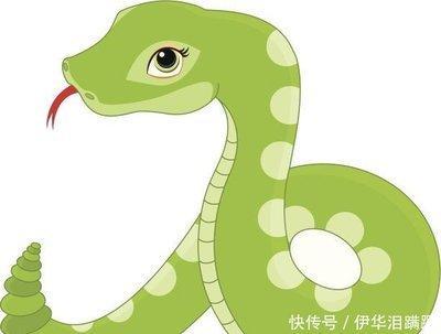生肖蛇不爱你的表现 怎么能看出属蛇人不爱你