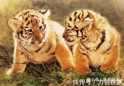珍惜时光什么生肖 哪几个生肖会珍惜时间