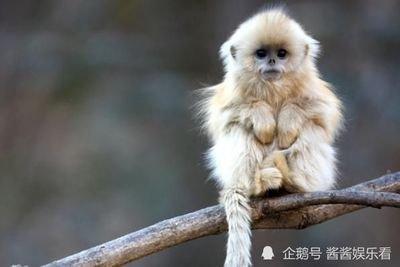 珍惜时光什么生肖 哪几个生肖会珍惜时间