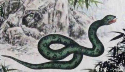 生肖蛇什么时辰出生好 出生时辰决定一个人命运