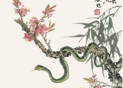生肖蛇几月出生好 什么月份出生的属蛇人好