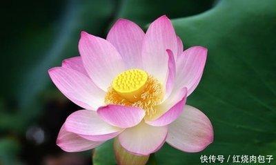 生肖蛇合适做什么行业 属蛇人做哪些职业会好
