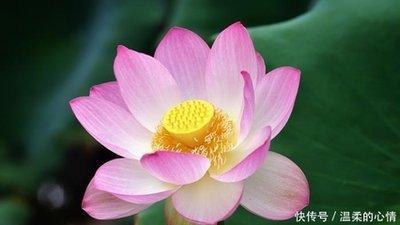 生肖蛇合适做什么行业 属蛇人做哪些职业会好