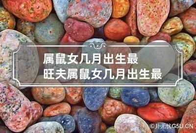 生肖属鼠的人几月出生比较好上等之命