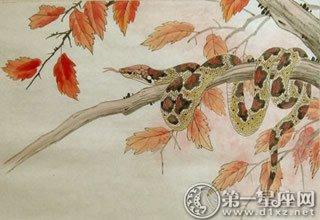 生肖蛇男和什么属相合 属蛇男的结婚对象是什么生肖