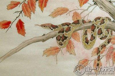生肖蛇男喜欢的女生 属蛇男人对怎样的女生有兴趣