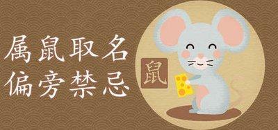生肖属鼠起什么名字好 适合属鼠宝宝使用的名字