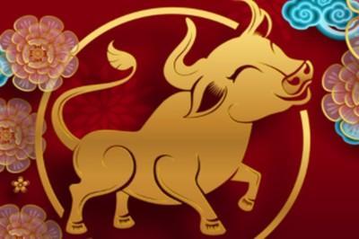 生肖属龙和属马的合不合成为夫妻好吗 生肖属龙和属马的合不合成为夫妻好吗