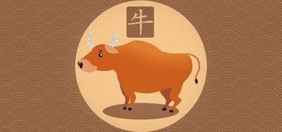 生个牛宝宝好吗 生肖属牛的人一生运程如何