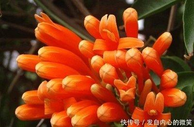 用什么方法可以改变运气财运如何改变命运