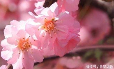 用什么方法可以改变运气财运如何改变命运
