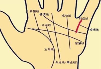 生命线上有分叉代表什么含义 生命线有分叉怎么样