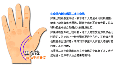 生命线分叉代表什么 生命线分叉的人一生运势发展