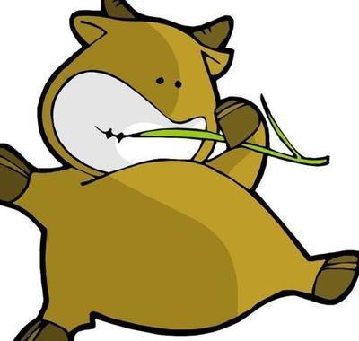 生肖牛什么时辰出生好 出生时辰决定一个人命运 生肖牛什么时辰出生好 出生时辰决定一个人命运