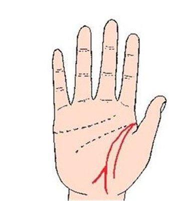 生命线分叉图解知多少 生命线分叉真的不好吗 生命线分叉图解知多少 生命线分叉真的不好吗
