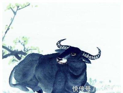 生肖牛几月出生好 什么月份出生的属牛人好