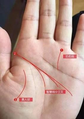 生命线分叉怎么样 生命线分叉的人命运如何