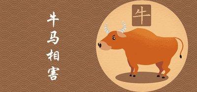 生肖牛和什么生肖不合 属牛人不与哪些生肖结婚