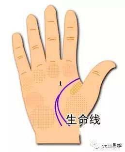 生命线分叉说明什么 生命线分叉好吗