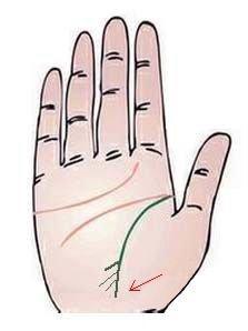 生命线分叉说明什么呢 生命线分叉会有哪些影响 生命线分叉说明什么呢 生命线分叉会有哪些影响