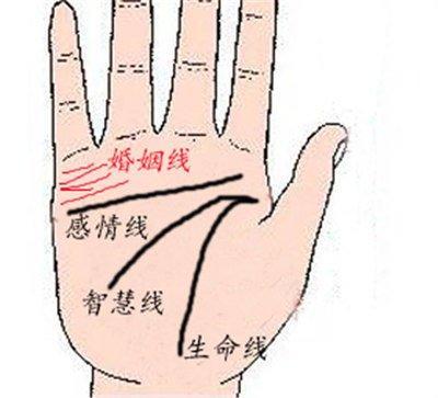 生命线图解手掌生命线分叉 生命线有分叉说明什么