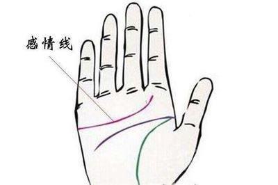 生命线图解手掌生命线分叉 生命线有分叉说明什么